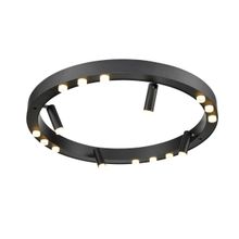 Vele Luce Потолочный светильник Vele Luce Satellite VL7172L12 ID - 115675