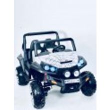 RiverToys Buggy T009TT Spider 4x4