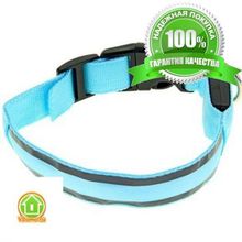 Светящийся ошейник со светоотражателем - 45-50 см, зеленый