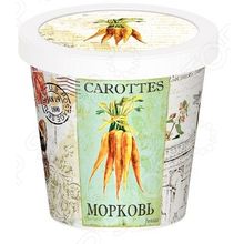 Rostokvisa «Морковь»