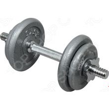 Larsen в пластиковом чемодане NT307