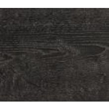 Дуб Монтерей