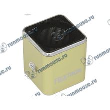 Акустическая система Flextron "F-CPAS-320B1-GR", 3Вт, с MP3 плеером, с FM-радио, портативная, зеленый (ret) [109325]