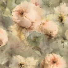 Rasch Vincenza 467345 467345