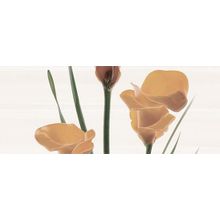 Ibero Enjoy Peach Janice Decor B 20x50 см