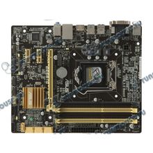 Мат. плата Socket1150 ASUS "B85M-G" (iB85, 4xDDR3, SATA III, SATA II, PCI-E, D-Sub, DVI, HDMI, 1Гбит LAN, USB3.0, mATX) (ret) [116975]