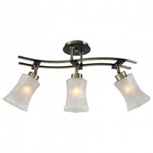 Citilux Люстра на штанге Citilux Мерида CL142133 ID - 384338