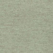 Rasch Axiom 915938 915938