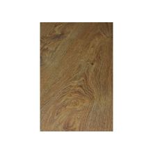  32169  Дуб Эдесса  Grande