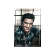 Elvis in Color