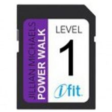 ICON Health & Fitness Power Walking Level 1