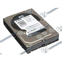 Жесткий диск 2000ГБ Western Digital "Black WD2003FZEX", 7200об. мин., 64МБ (SATA III) (oem) [121123]