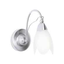 ARTE LAMP  Бра Petal A4905AP-1SS