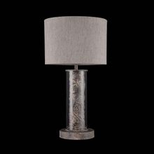 Настольная лампа декоративная Maryland ARM526TL-01GR