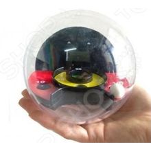 Лабиринтус Пинбол