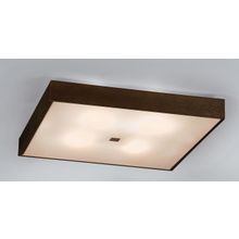 Светильник Потолочный Citilux CL940411