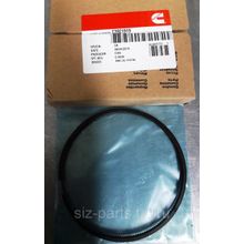 3921919 Поршневые кольца