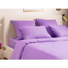 ПМ: Ecotex Простыня Моноспейс фиолетовая