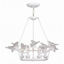 Favourite Pajaritos 1751-6P