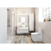 Унитаз-компакт Roca Inspira In-Wash 803061001