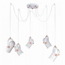 Favourite Ampolla 2008-5P