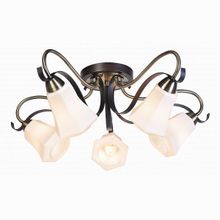 SilverLight Merely 225.59.5