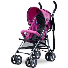 Caretero Alfa lavenda