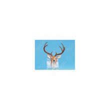 Сувенир из меха «Голова оленя»