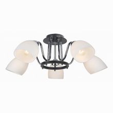 Arte Lamp Fiorentino A7144PL-5BK