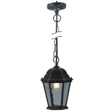 Уличный подвесной Arte Lamp A1205SO-1BS GENOVA