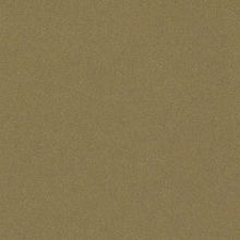 Marburg La Veneziana 4 31337 31337