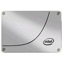 Intel Intel SSDSC2BA800G401