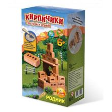 Конструктор Кирпичики. Родник 2 в 1, 35 деталей, 6+