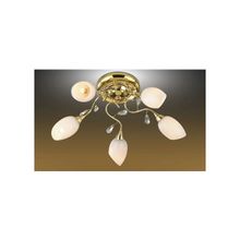 Люстра потолочная 1604 5 Odeon Light