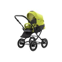 Noordi 2 в 1 Polaris CL графитово-салатовая