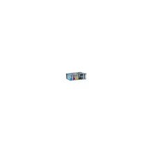 C13T606900 Epson картридж к St.Pro 4800 4880 (light light black)