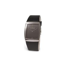 Мужские часы Skagen 584LSLM