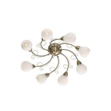 Потолочный светильник Odeon Dovera 2470 8C