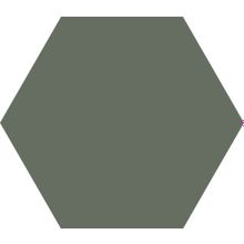 Codicer Basic Moss Hex 25 Hexagonal 22x25 см