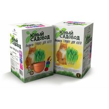 Юный садовод. Вырасти травку для кота