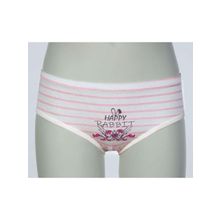 Трусы для девочек Baykar - 5592