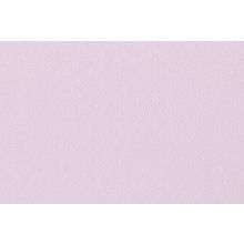 MaxWall 158011-19