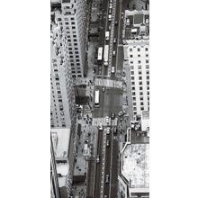 Axima Сити D1 вставка 300 мм*600 мм