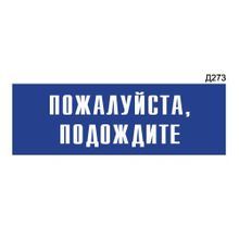 Информационная табличка «Пожалуйста, подождите» прямоугольная Д273 (300х100 мм)