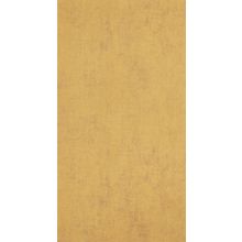 BN International Color Stories 48479 BN48479