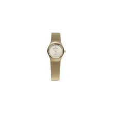 Женские наручные часы Skagen Mesh Swiss 432SGSG