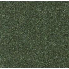 Forbo Forte Color 96018 30 м*2 м 6.5 мм Forest