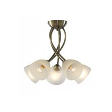 Светильник потолочный A2576PL-5AB Arte Lamp