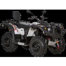 BALTMOTORS BALTMOTORS HS500ATV