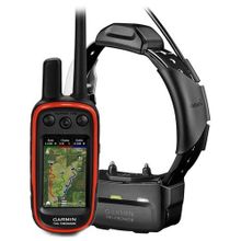 Garmin Alpha 100 с ошейником TT15